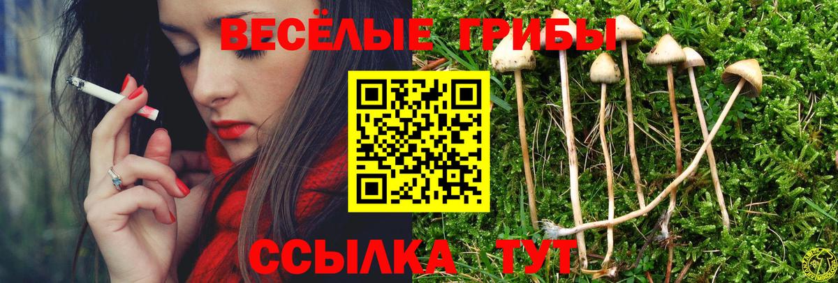 Галлюциногенные грибы мицелий Кизляр