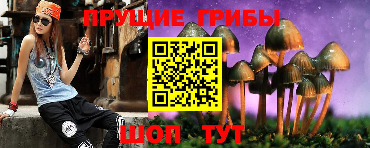 Кизляр  Галлюциногенные грибы Magic Shrooms  Псилоцибиновые грибы прущие грибы  даркнет сайт  Вход с VPN 